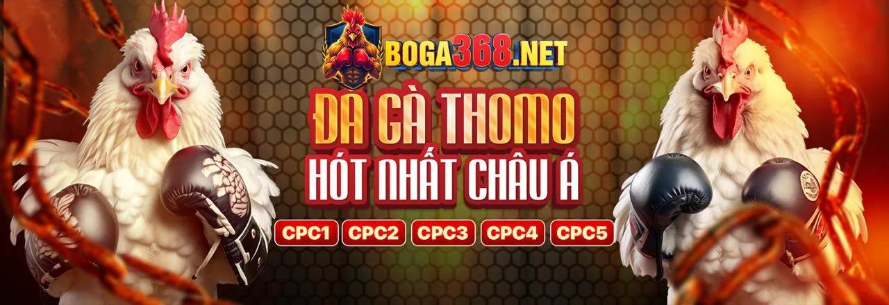 Sân đấu đá gà trực tuyến sôi động tại Keowin365